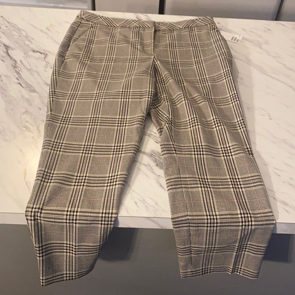 Dress pants